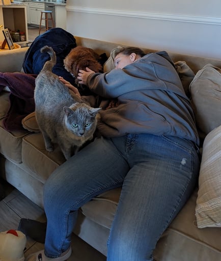 Pet sitter on couch with dog and cat