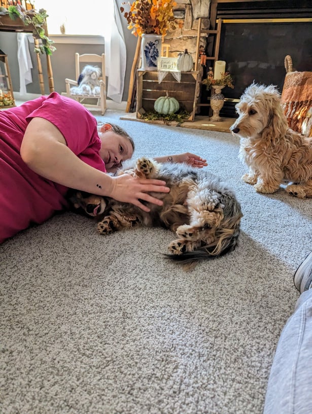 a person laying on the floor with two dogs