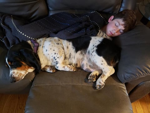 a person sleeping next to a dog on a couch