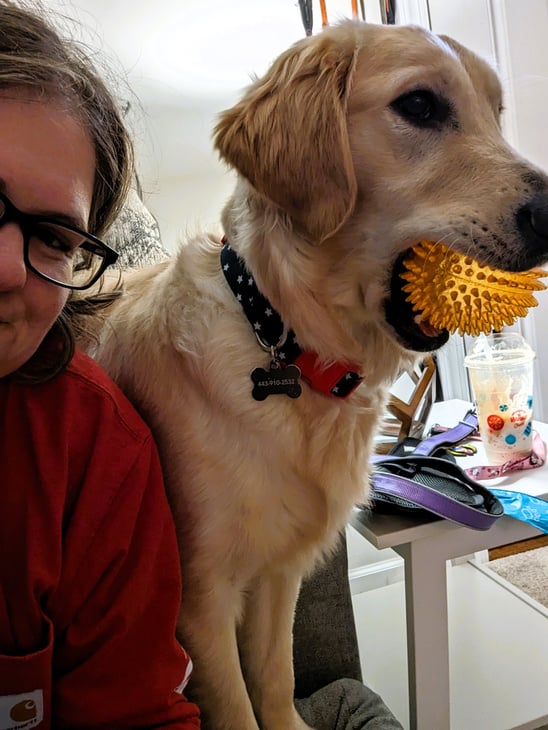 a person sitting on a couch with a dog in their lap