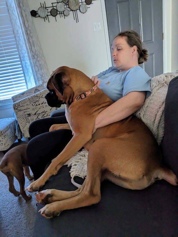 a person sitting on a couch with a large dog