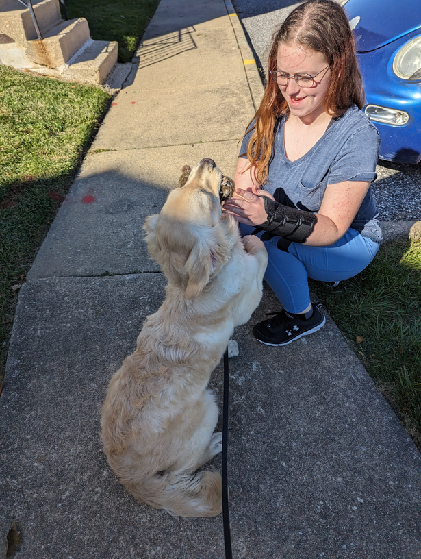 a person petting a dog on the sidewalk